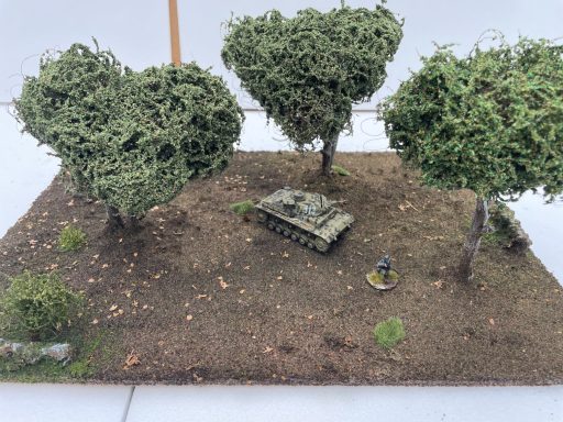 Woodland Terrain